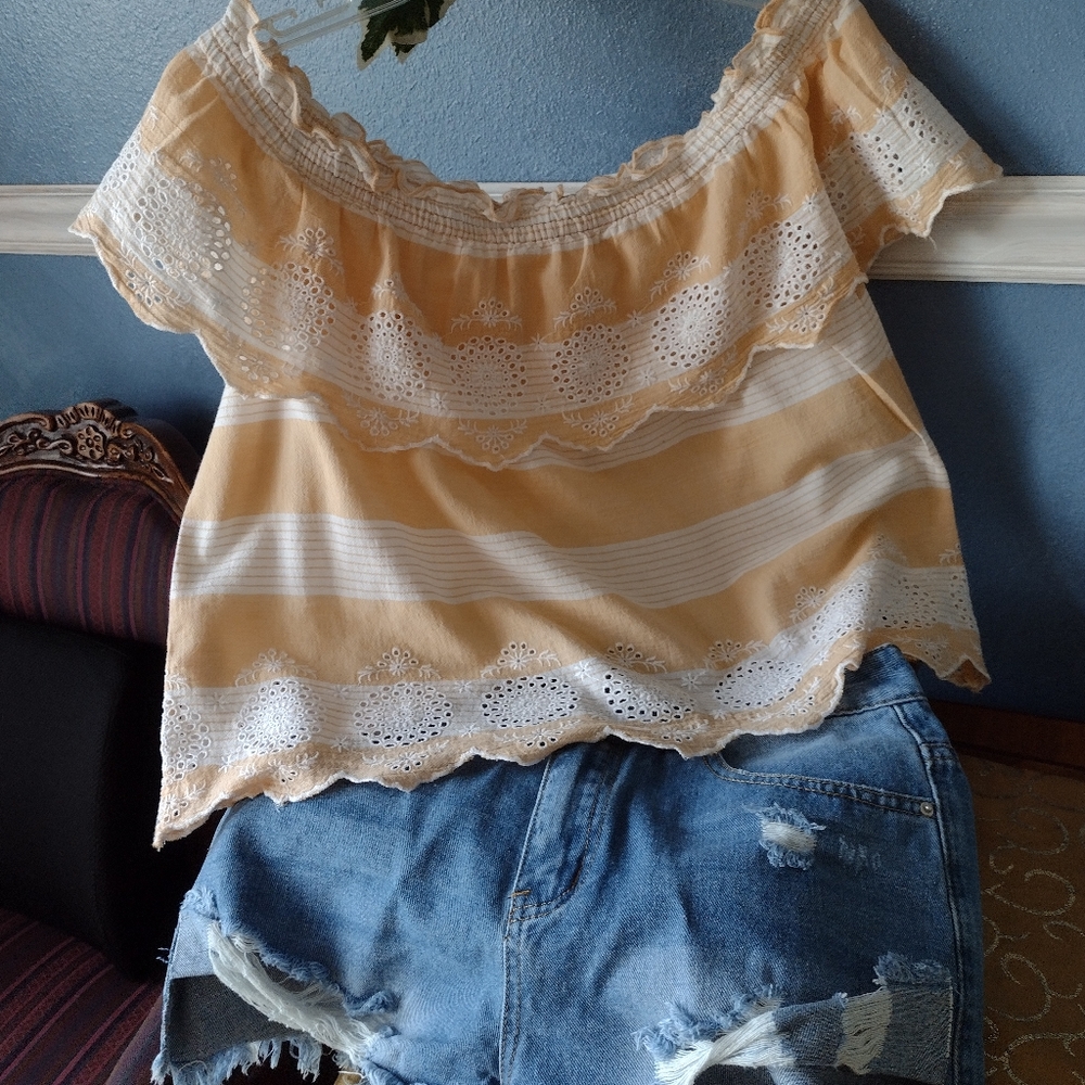 American Eagle Outfitters S/P/Ch Lady Top. (only)